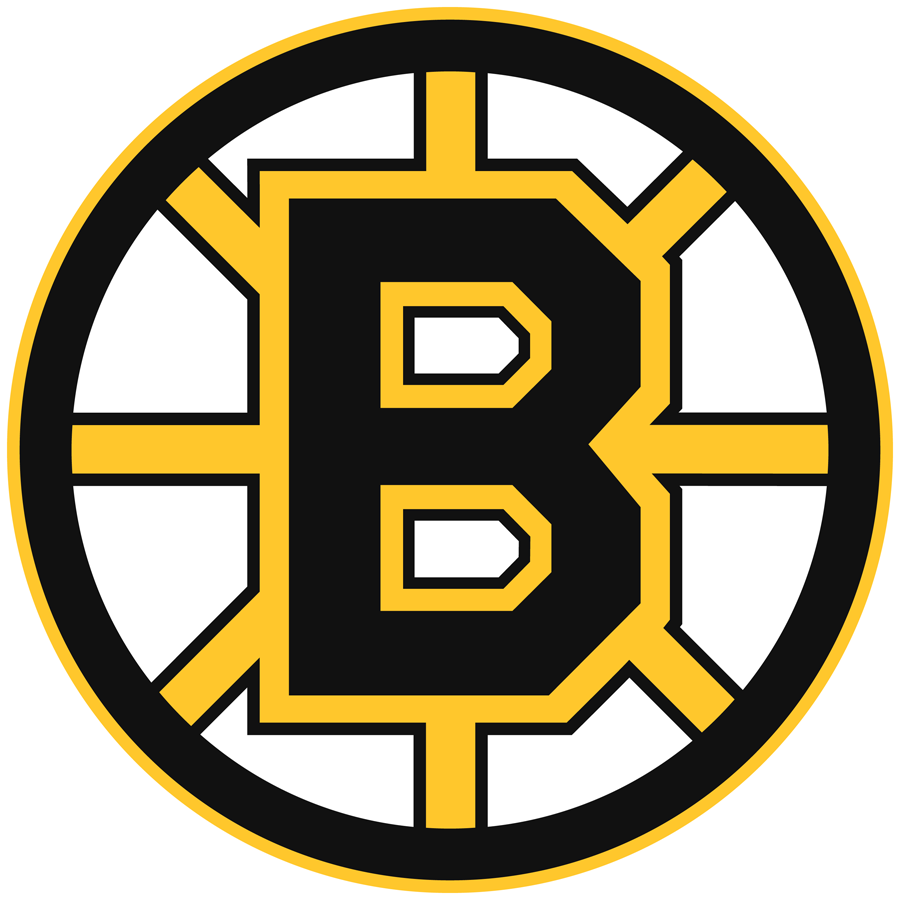 Boston Bruins 1995-2007 Primary Logo iron on transfers for T-shirts